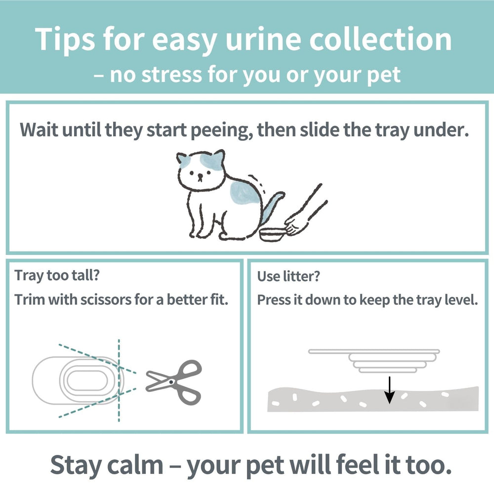 Nyanpling clear urine visibility via white tray helps quick assessment at home