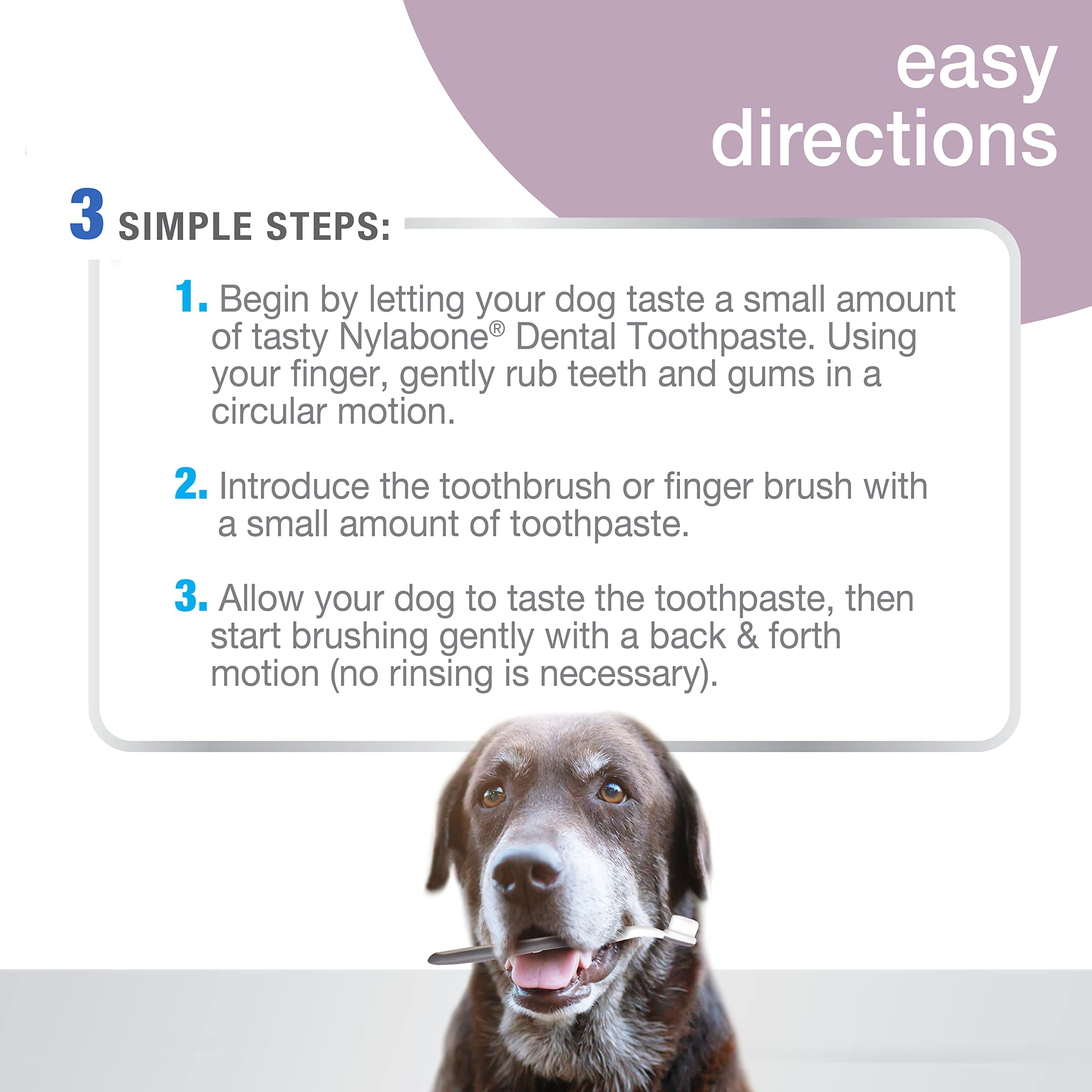 Nylabone USA-made toothpaste highlights quality in senior dog dental care
