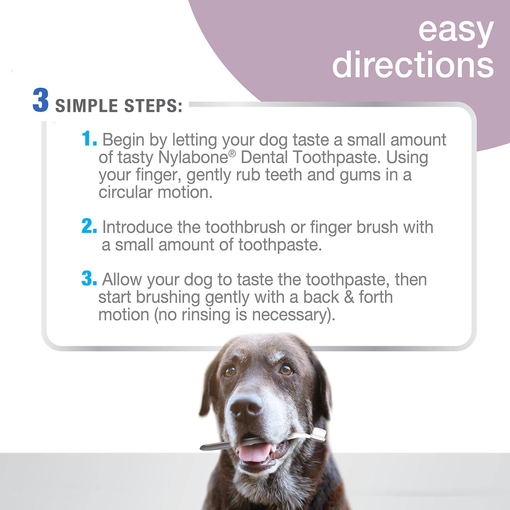 Nylabone USA-made toothpaste highlights quality in senior dog dental care