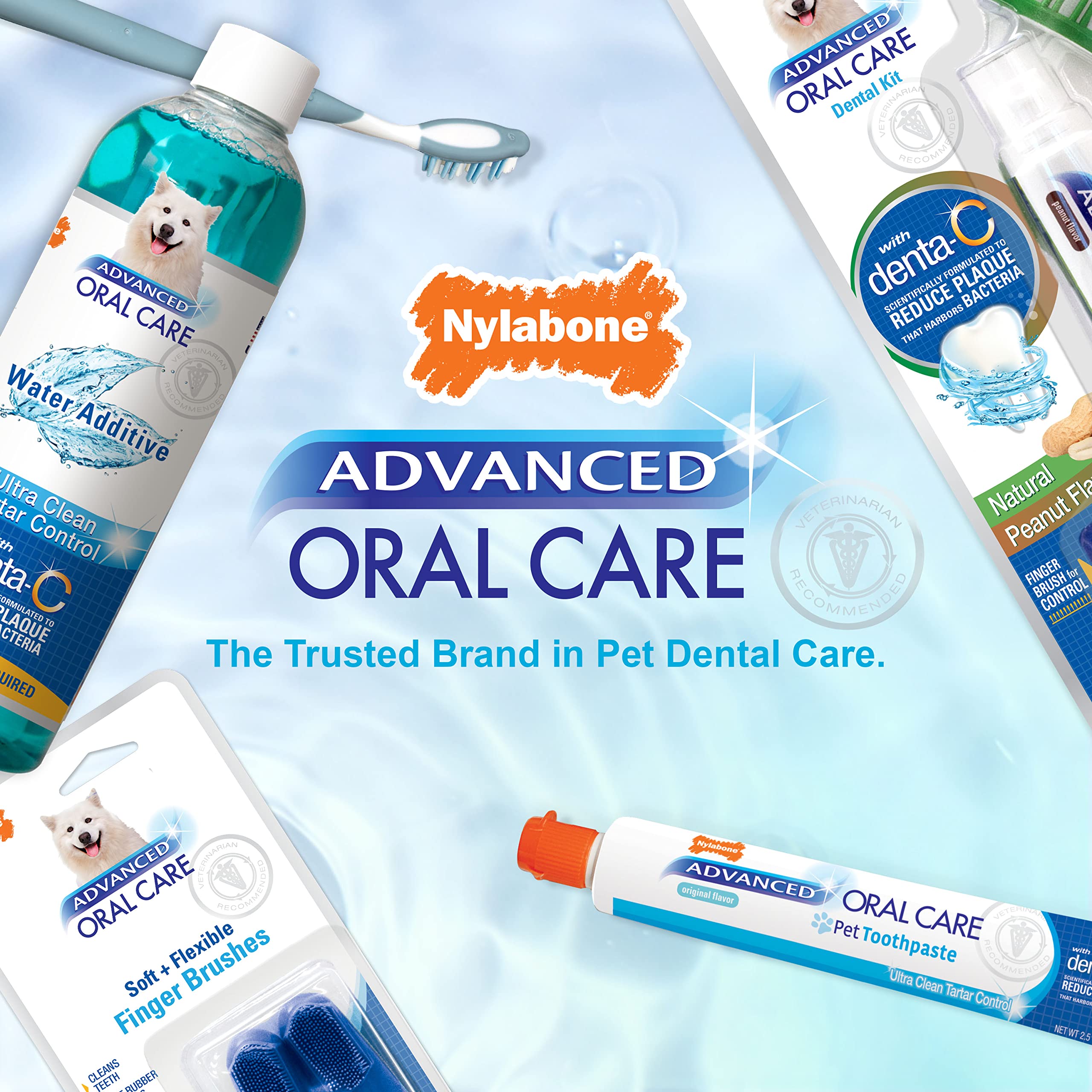 Nylabone Senior kit supports a simple at-home dental routine for aging dogs