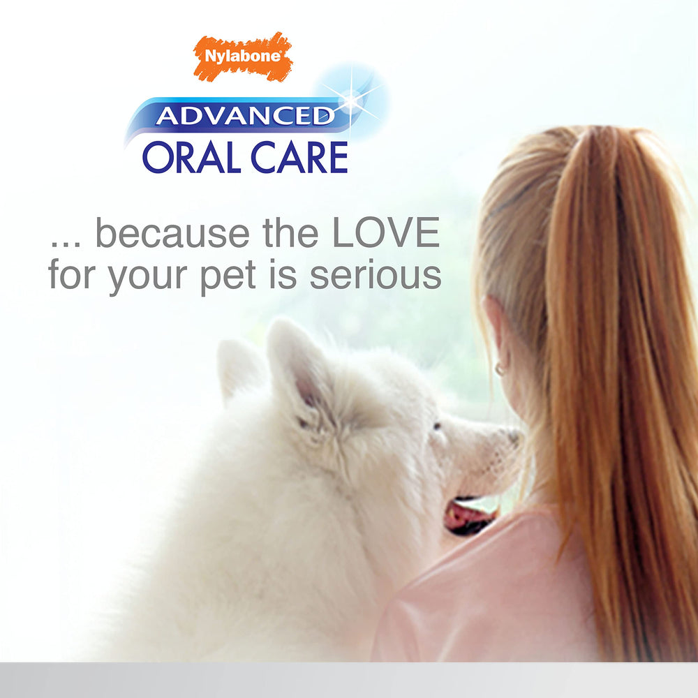 Nylabone senior dental kit image emphasizes user-friendly design for home care
