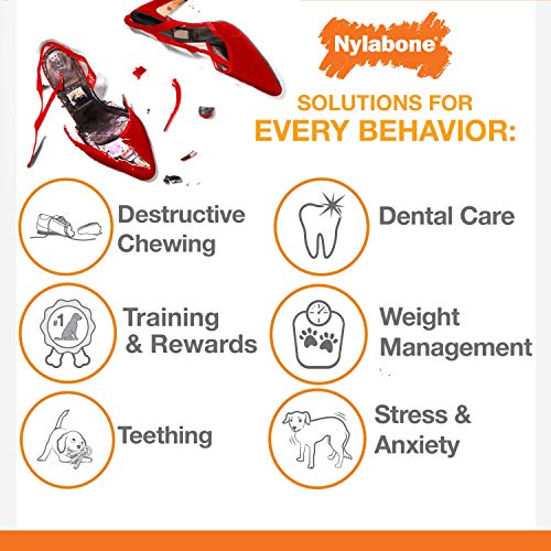 Nylabone Axis Bone chew ideal for indoor play and extended chew sessions