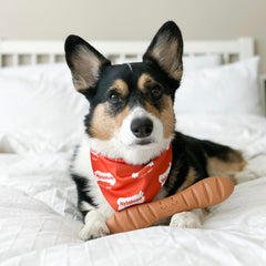 Nylabone Baguette Juguete con bolsillo para premios, mayor entretenimiento