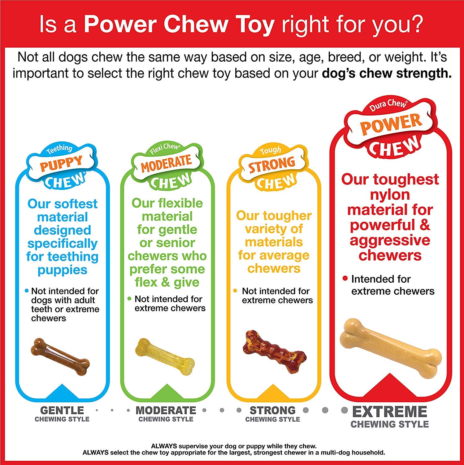 Nylabone bison-flavor chew used during play for long-lasting engagement.