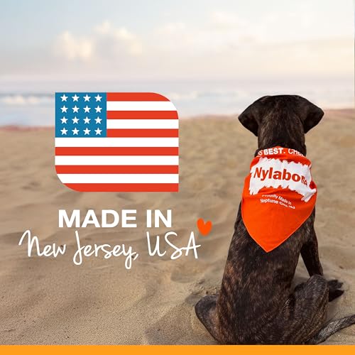 Nylabone brand packaging reinforces trusted, safe pet care.