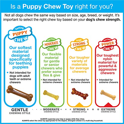 Nylabone Double Action Bone safe chewing with supervision recommended