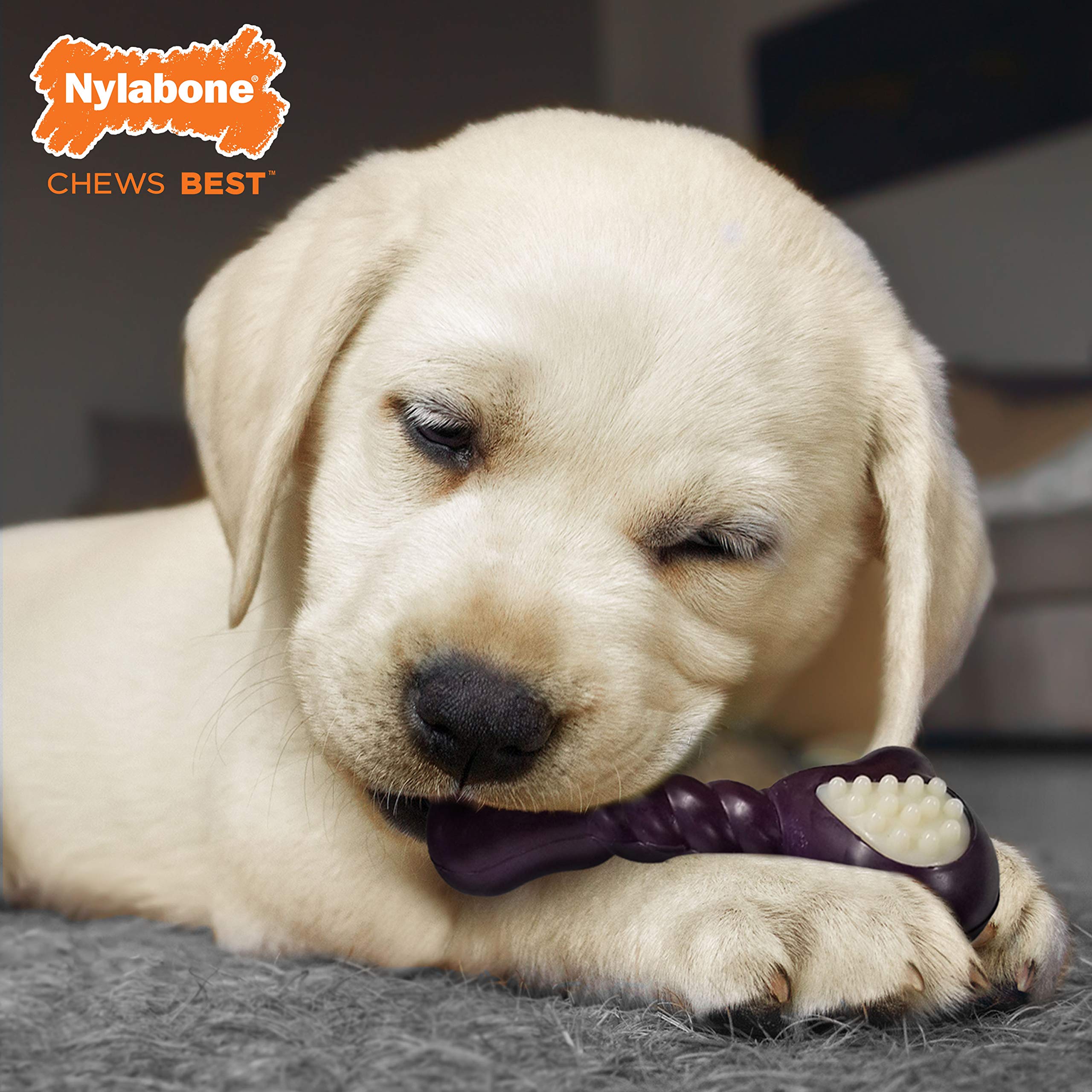 Nylabone Double Action Bone textured edges provide varied chewing sensation