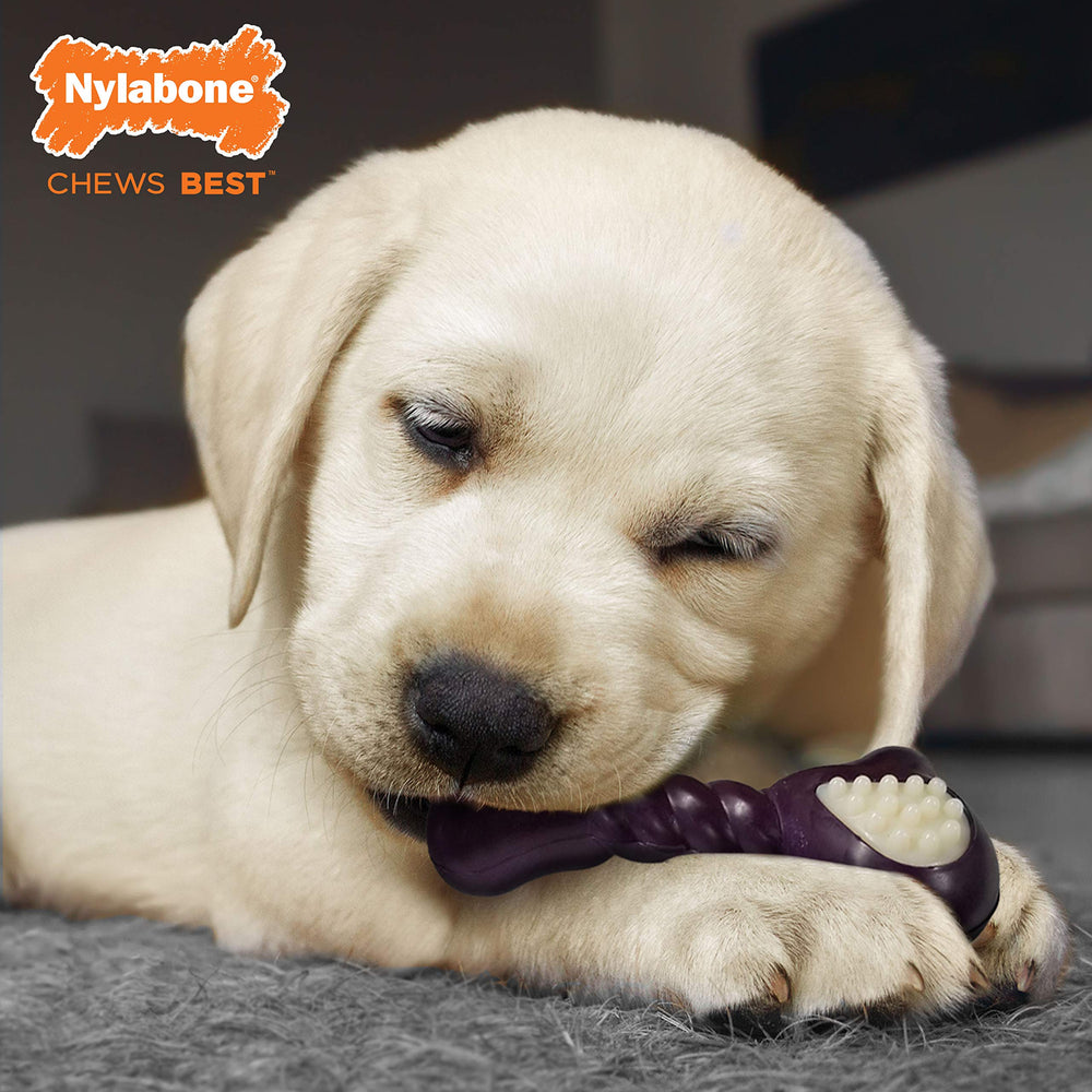 Nylabone Double Action Bone textured edges provide varied chewing sensation