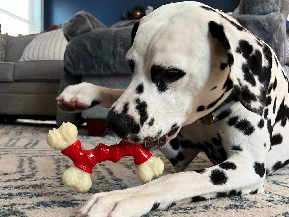Nylabone Juguete dental duradero de nylon para perros.