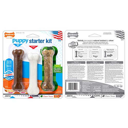 Nylabone multi-color-pack vibrant set invites play and exploration.