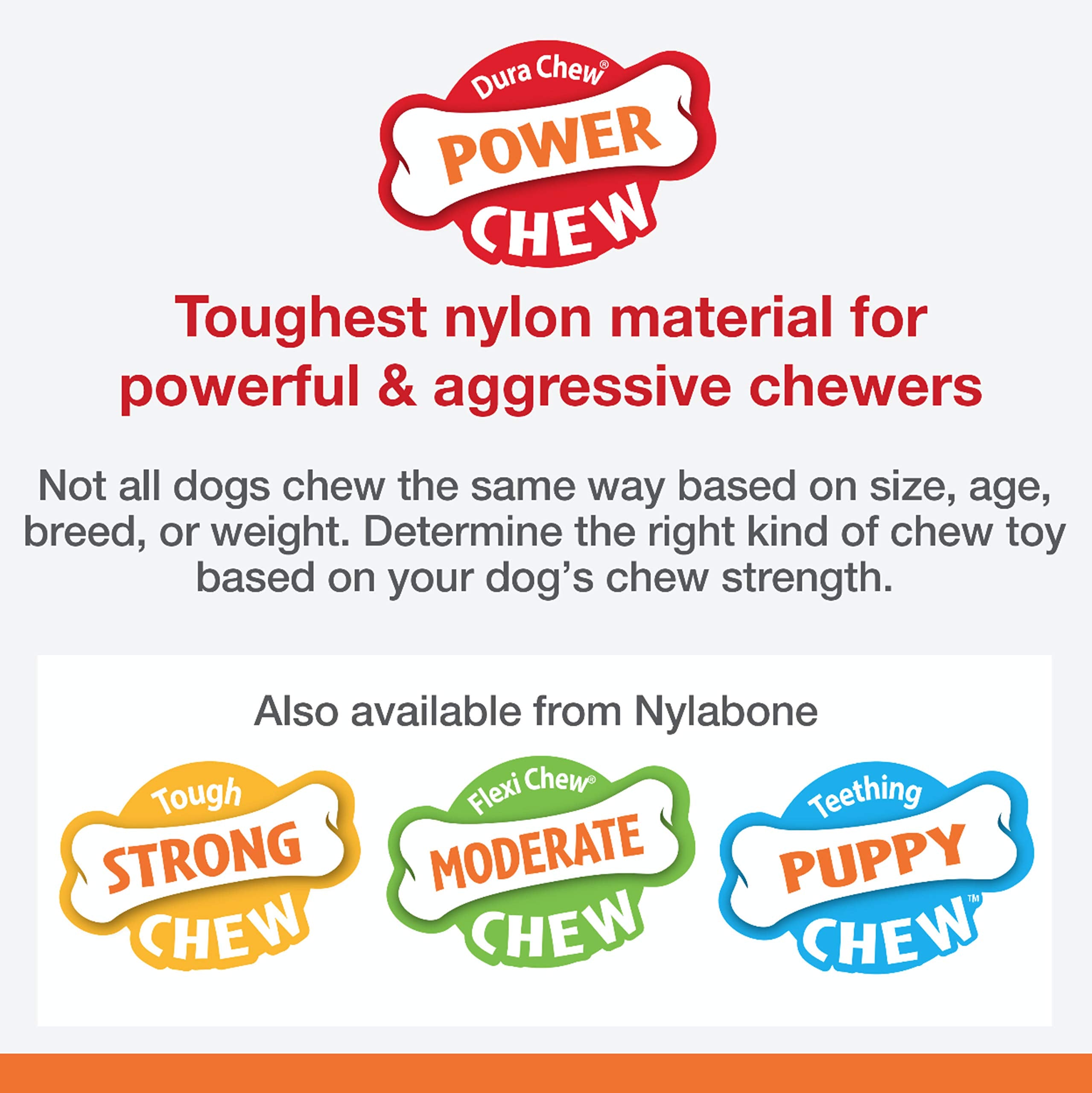 Nylabone Flavor Frenzy XL closeup of Philly Cheesesteak flavor for engaged chewers.
