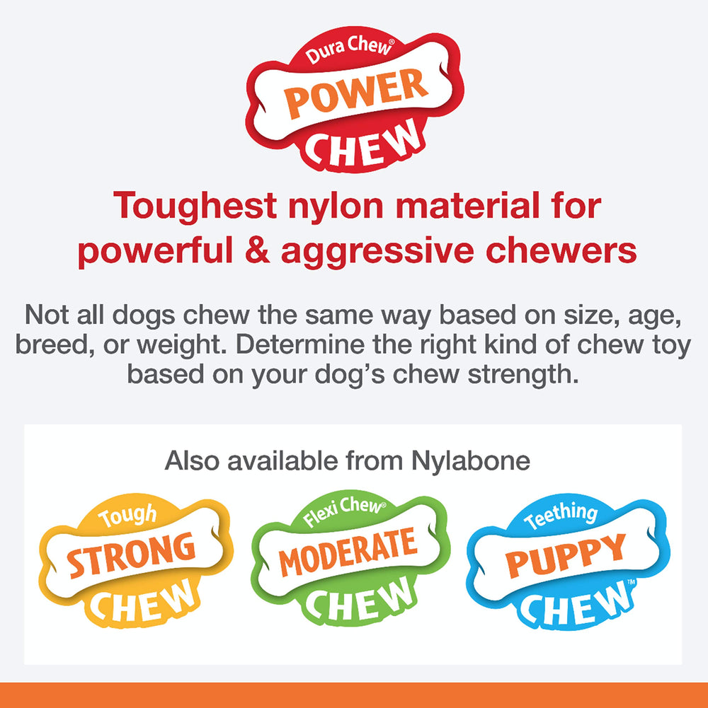 Nylabone Flavor Frenzy XL closeup of Philly Cheesesteak flavor for engaged chewers.