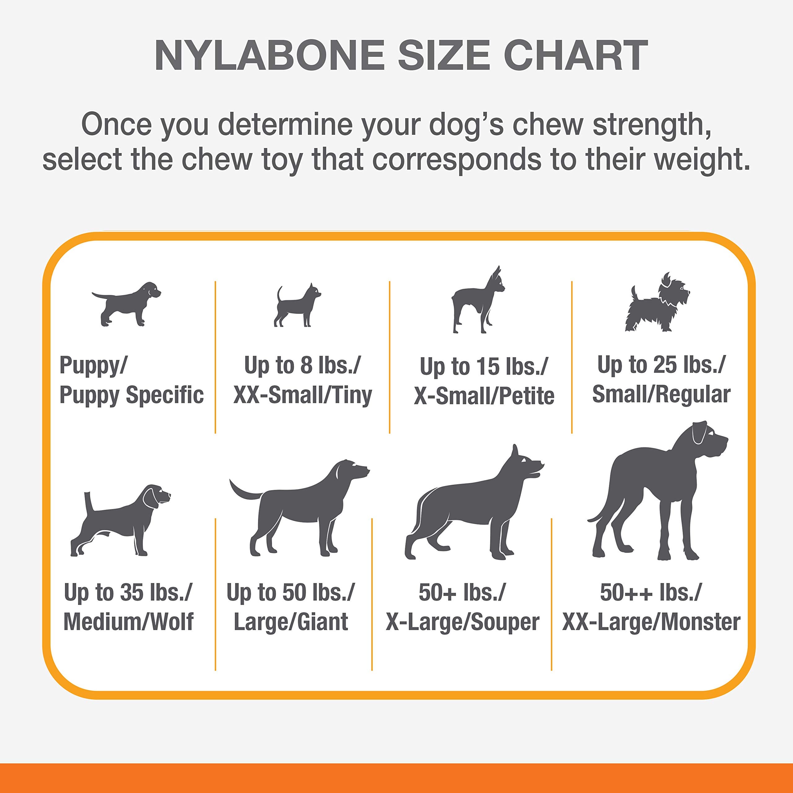 Nylabone Flavor Frenzy XL long-chew session highlighting durability.