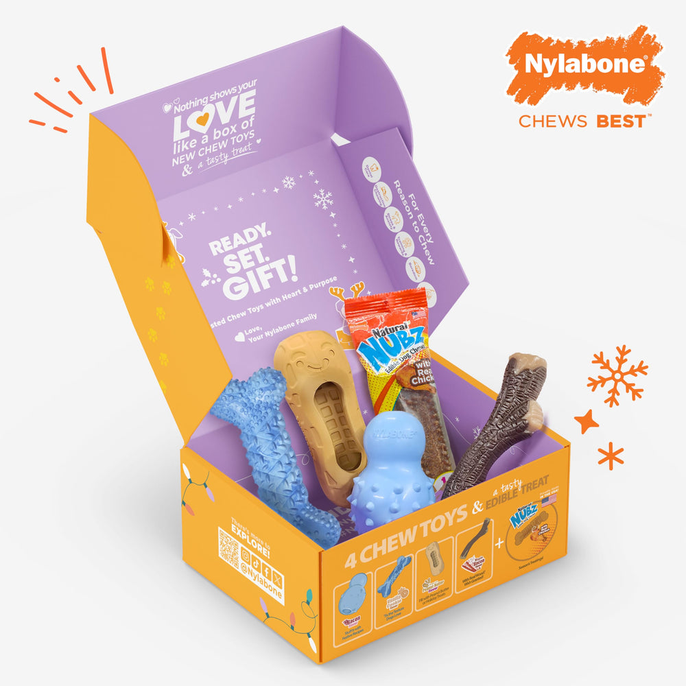 Nylabone flavor variety fosters engaging chew sessions during playtime