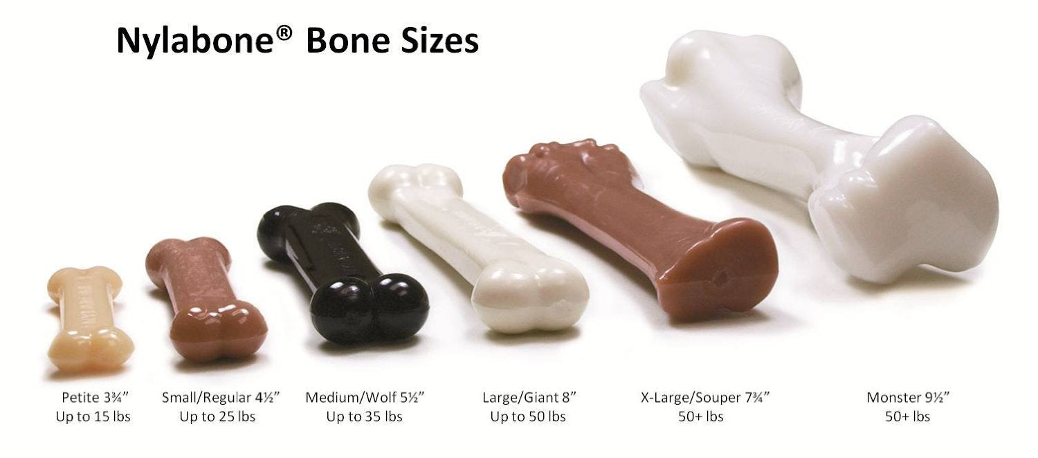 Nylabone FlexiChew chicken bone in action for regular dogs, demonstrating satisfying moderate chewing