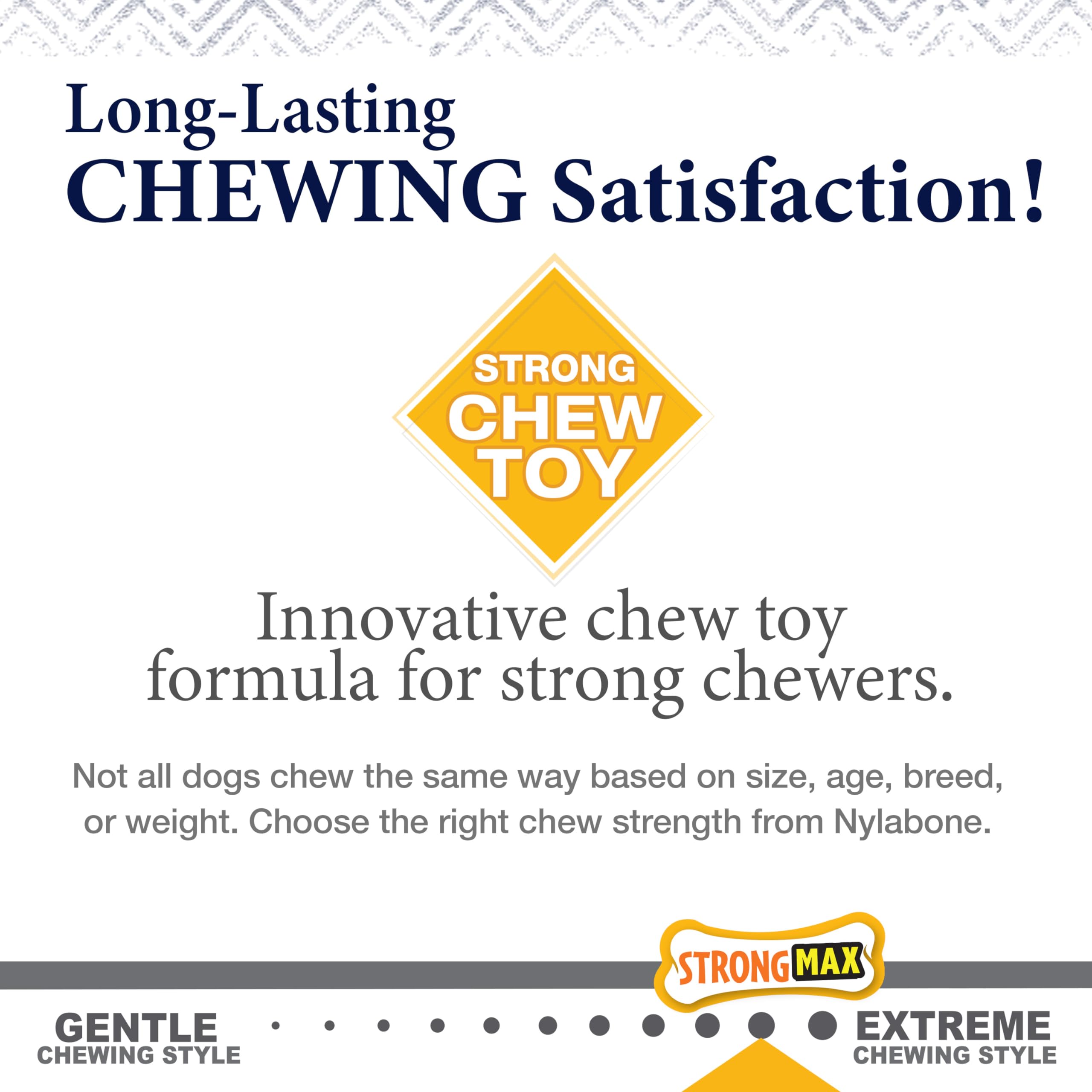 Nylabone Gourmet Style safer-than-real-bones: safe chewing option