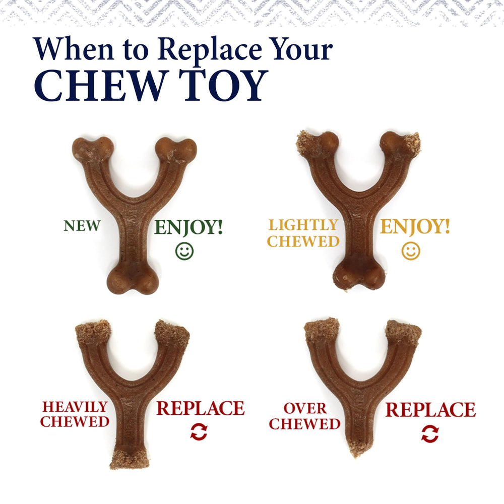 Nylabone Gourmet Style small-dog use for pets up to 25 pounds during play.