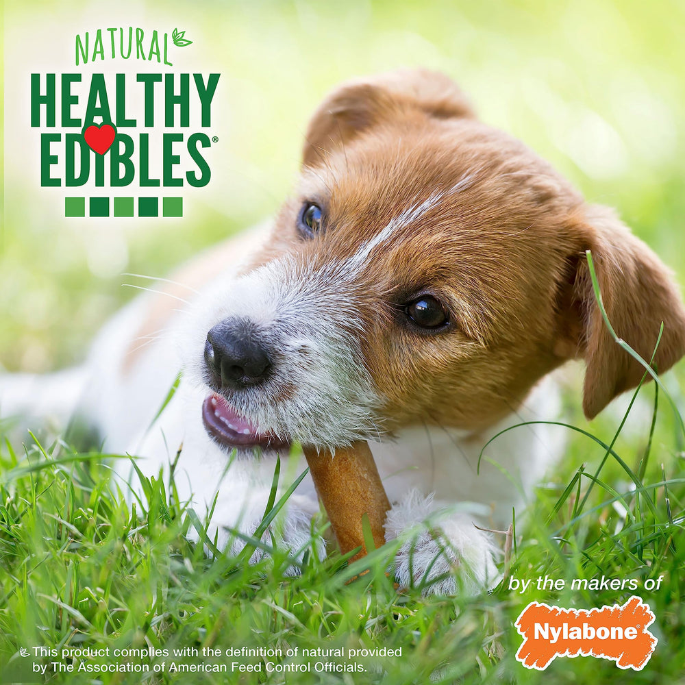 Nylabone Healthy Edibles 12-count pack displayed for easy stocking and sharing among multiple dogs.