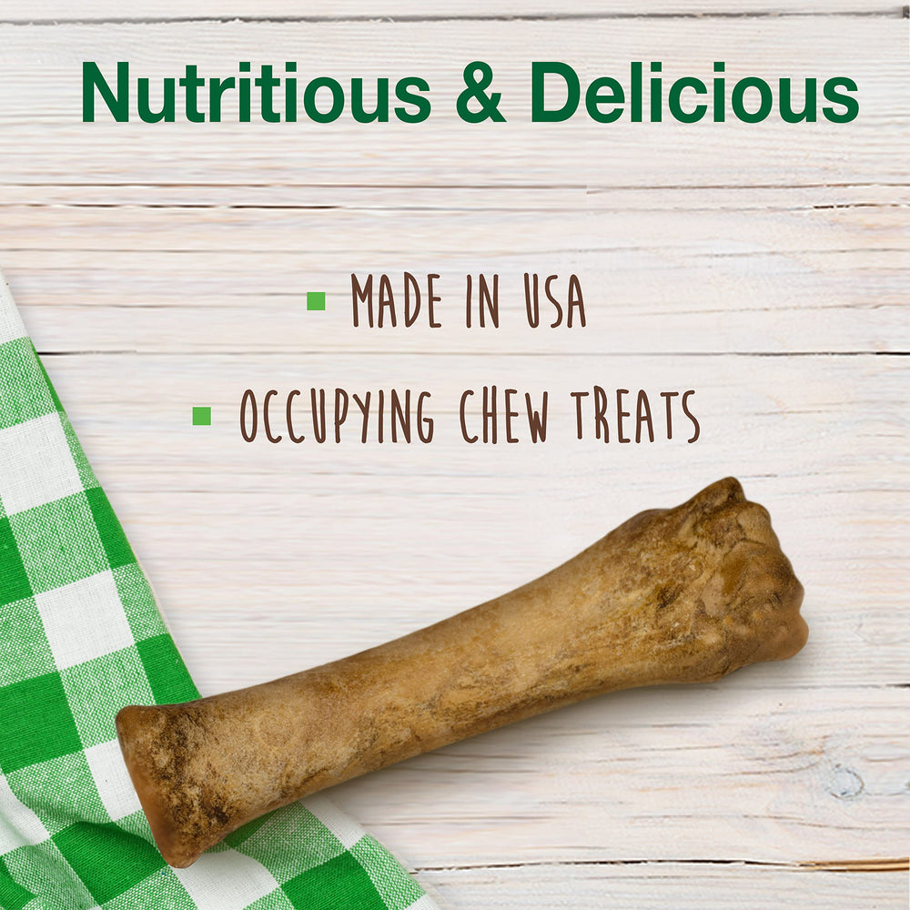 Nylabone Healthy Edibles long-lasting dog chew supports extended chew time and training.