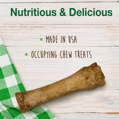 Nylabone Healthy Edibles long-lasting dog chew supports extended chew time and training.
