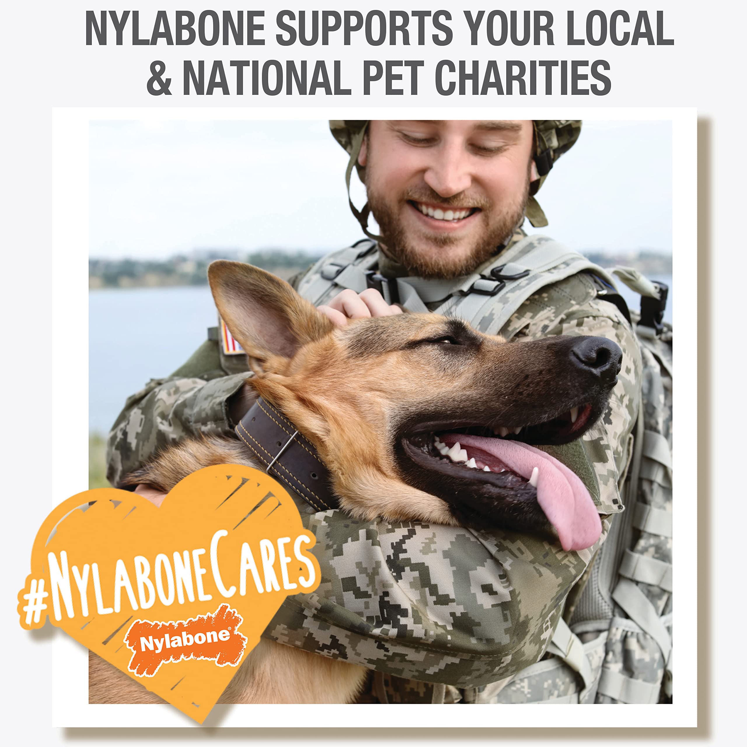 Nylabone Healthy Edibles calcium-rich chews for strong teeth and bones