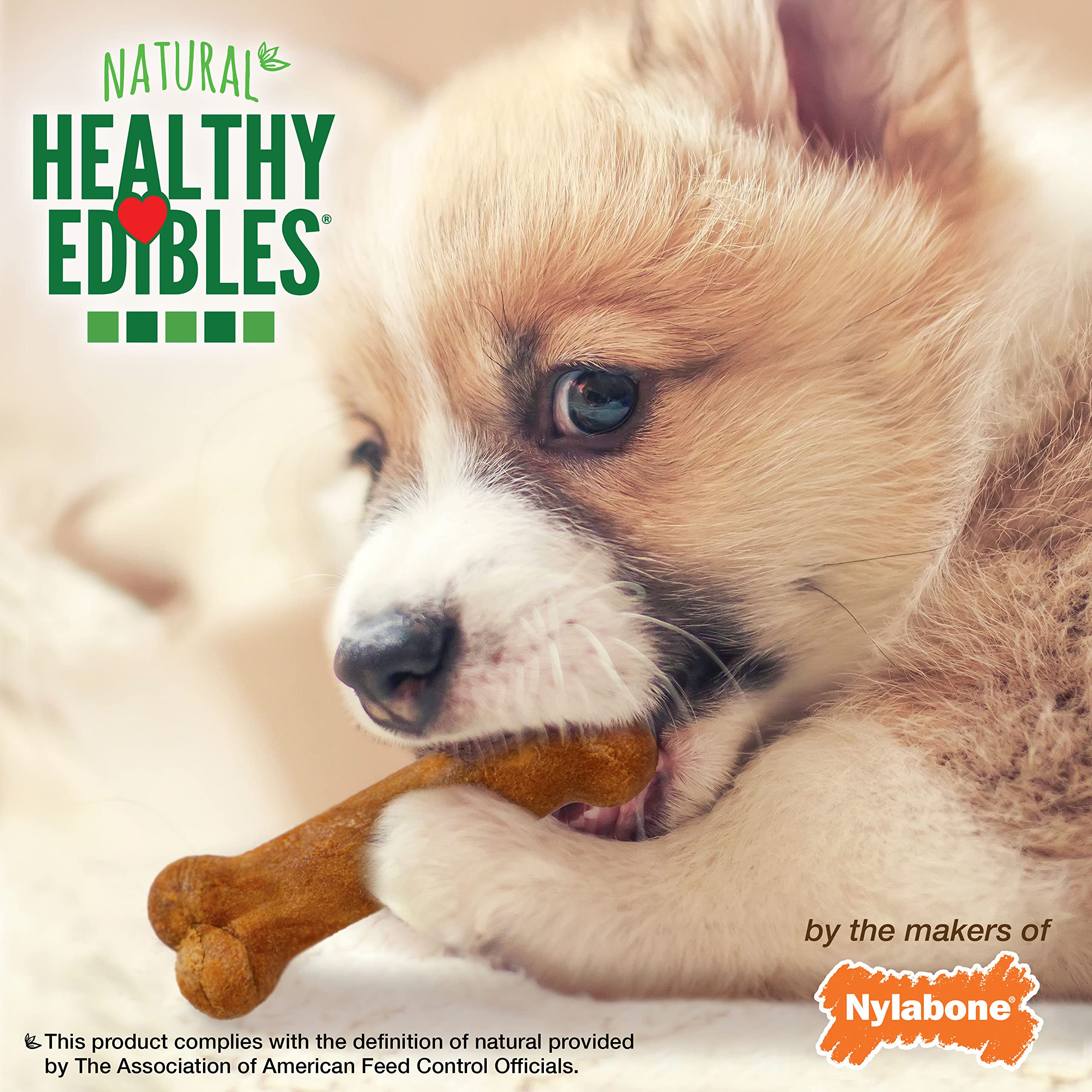 Nylabone Healthy Edibles flaxseed imagery suggesting skin and coat support