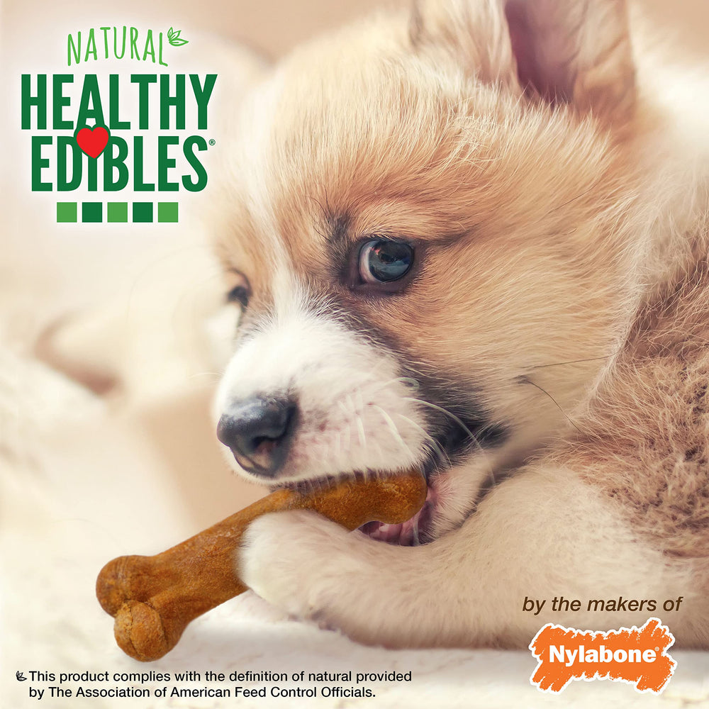 Nylabone Healthy Edibles flaxseed imagery suggesting skin and coat support