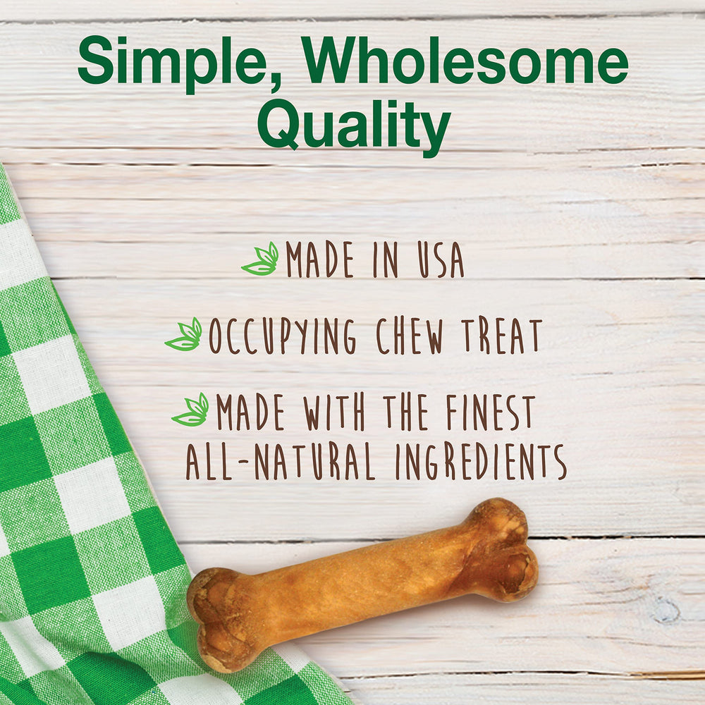 Nylabone Healthy Edibles close-up texture and natural ingredients for digestible treats