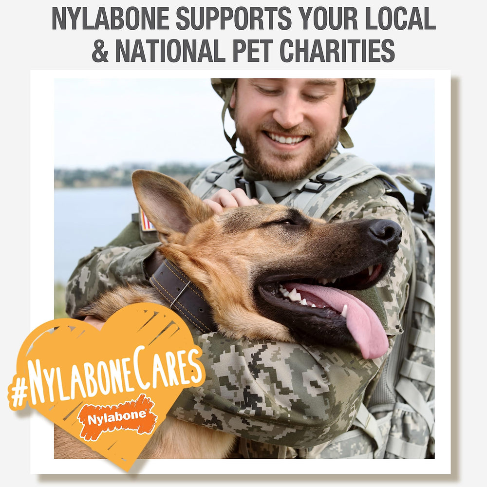 Nylabone Healthy Edibles variety flavors image showcasing roast beef and chicken options.