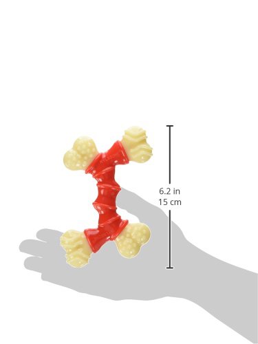 Nylabone Hueso dental de doble cara para limpieza dental.