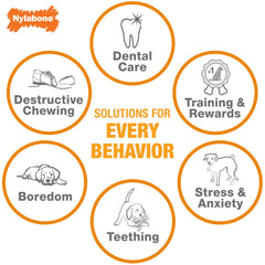Nylabone Marrow Bone Alternative beef flavor through and through for tasty motivation