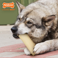 Nylabone Marrow Bone Alternative closeup textures for engaging chewing sessions
