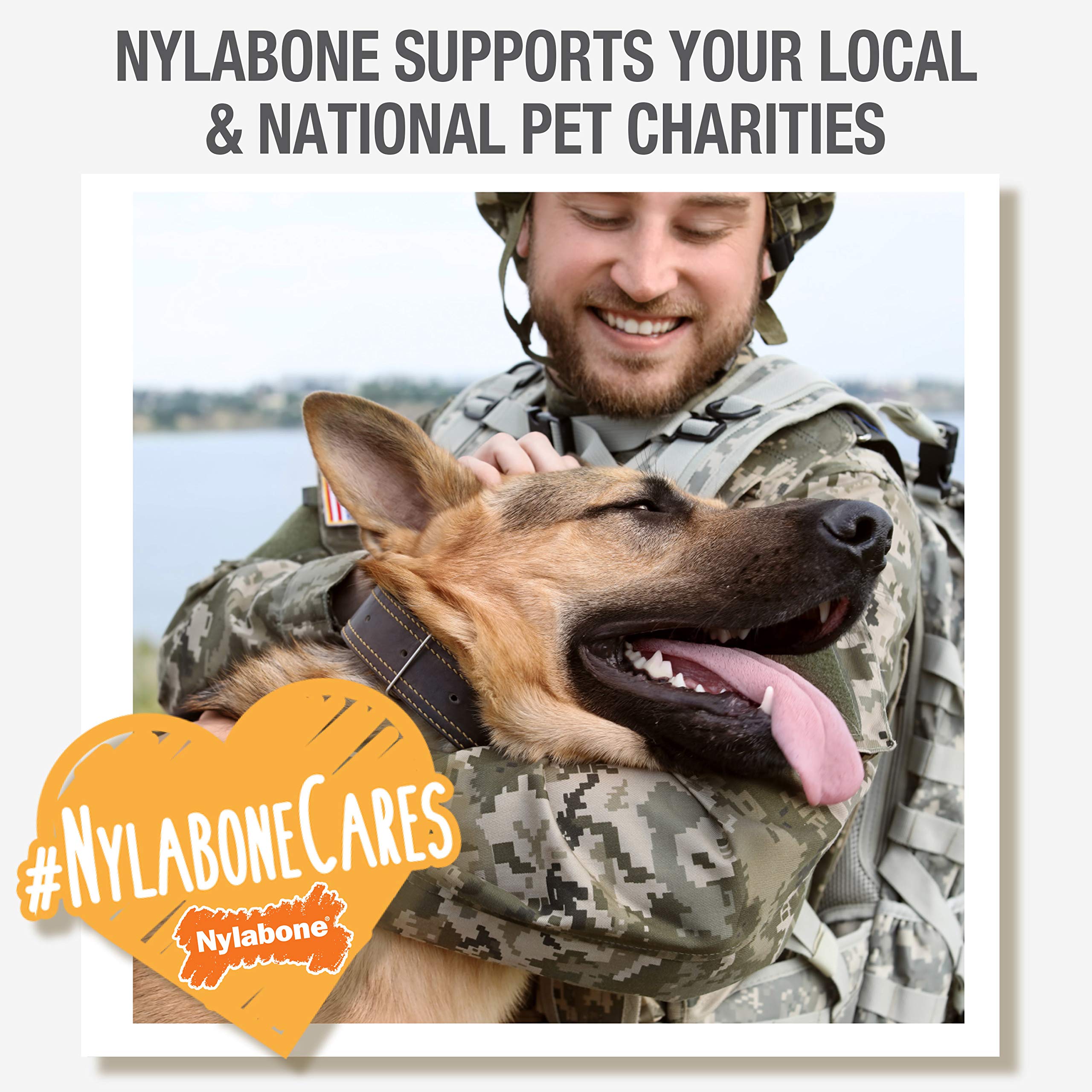 Nylabone Marrow Bone Alternative interior fillable center for treats