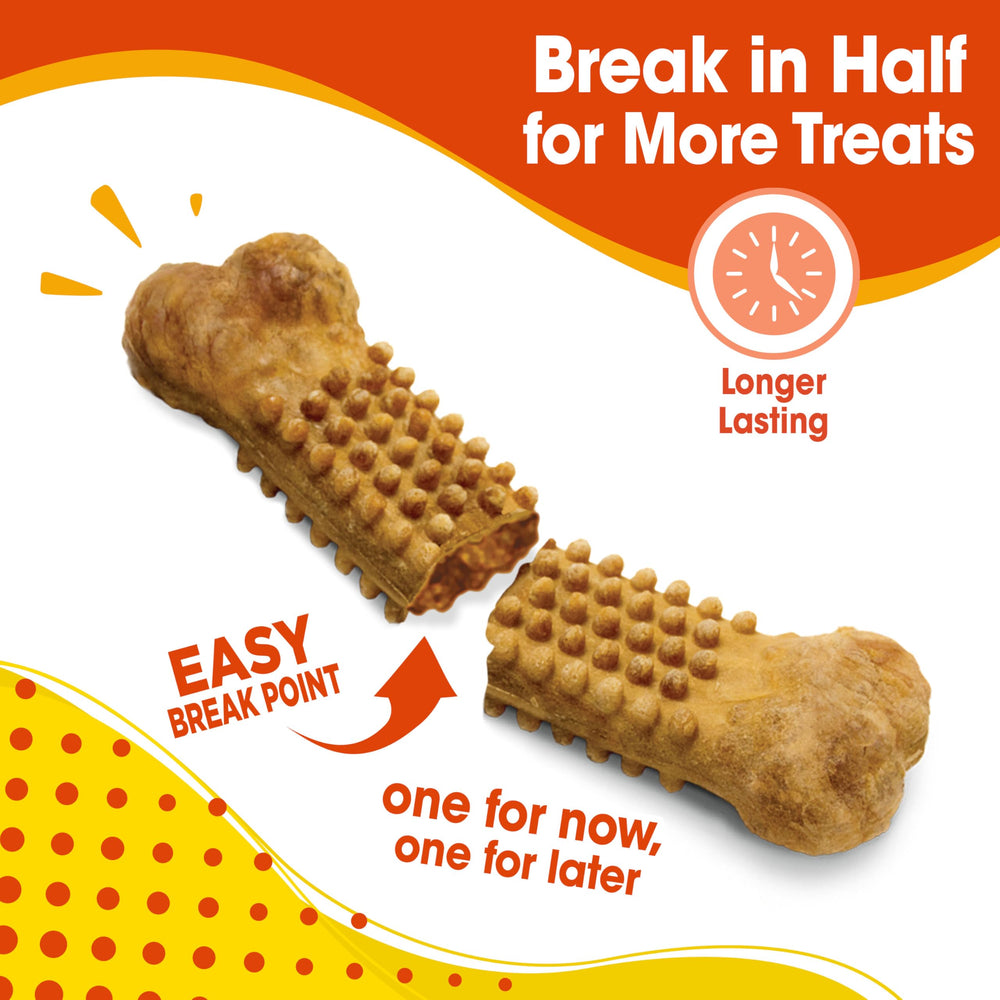 Nylabone Nubz chicken-flavor chews demonstrate long-lasting chewing for dental wellness.