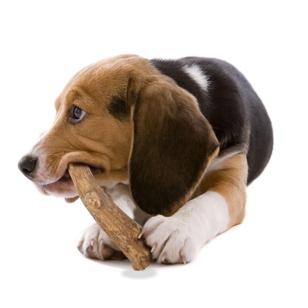 Nylabone Nubz Edibles Antler antler-shape design for easy grip