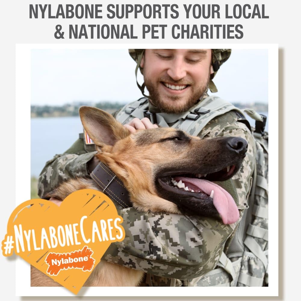 Nylabone Nubz Edibles Antler dog-chew-in-action during playtime