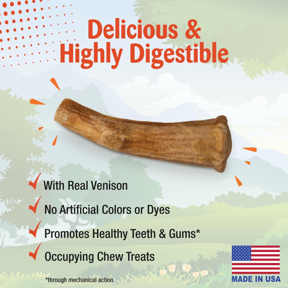 Nylabone Nubz Edibles Antler eight-chews-in-bag setup for daily chewing sessions