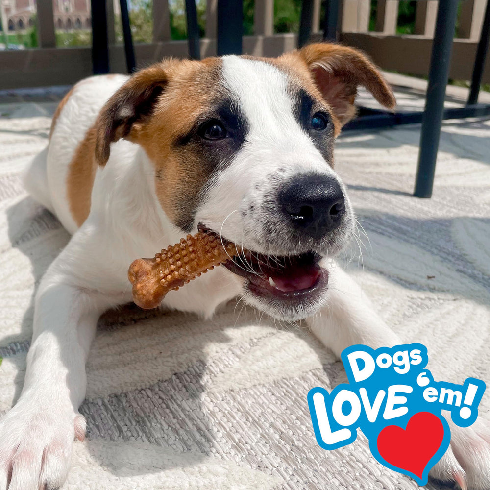 Nylabone Nubz large-dog size over 30 lbs offers a long-lasting chew experience