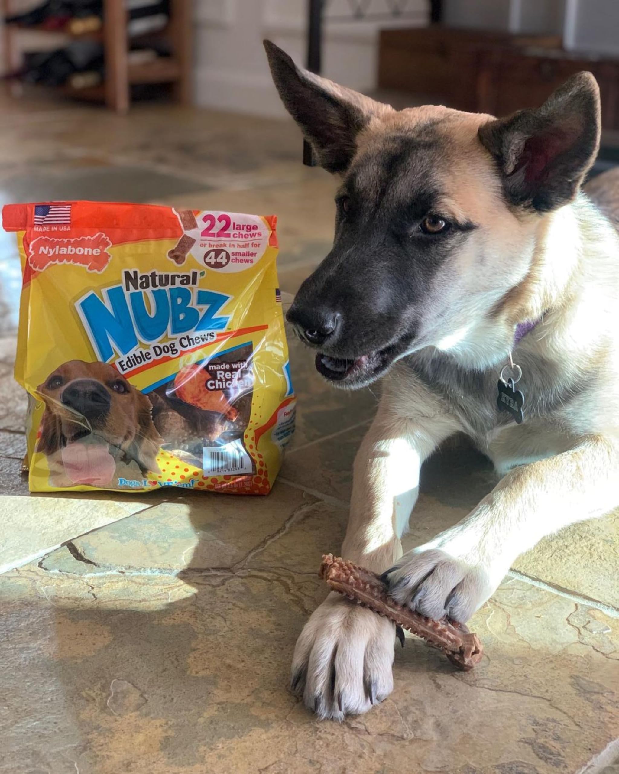 Nylabone Nubz large-dog chews shown for extended chew time and engagement.