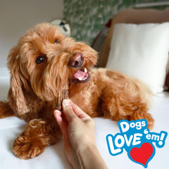 Nylabone Nubz chicken chew engages small dogs, promoting longer chew sessions and focus