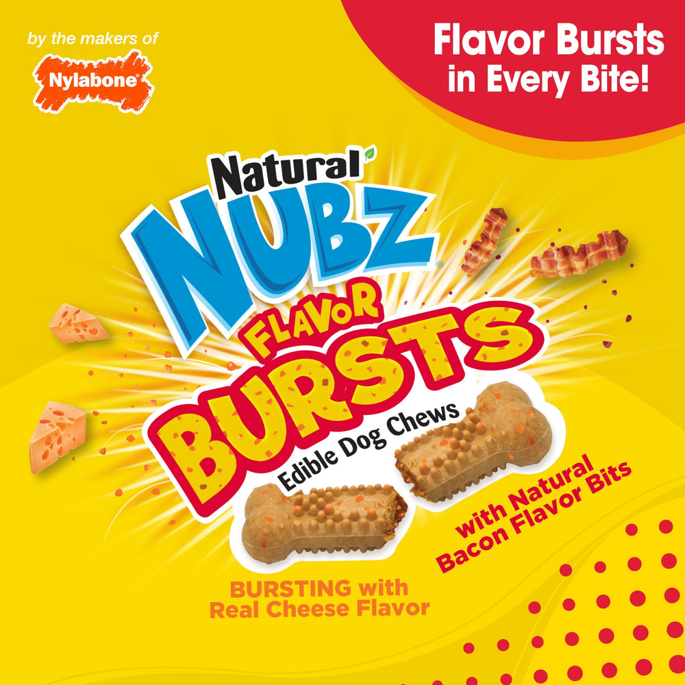 Nylabone Nubz-small-dog-treat-pack-36 provides convenient daily rewards.