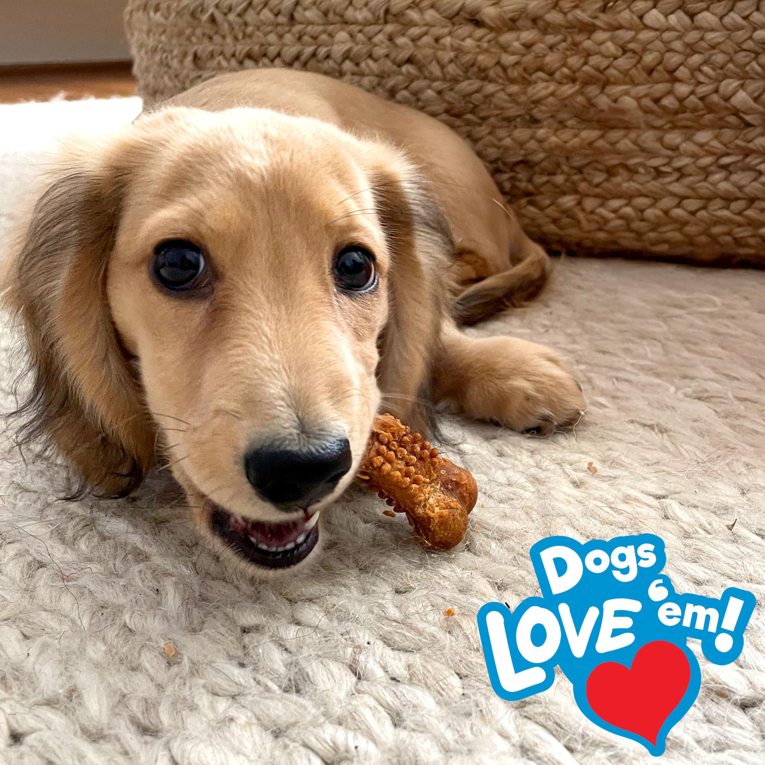 Nylabone Nubz training-treats image emphasizes soft texture for developing teeth.