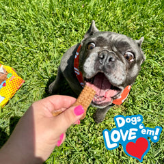Nylabone Nubz usa-made-dog-treat highlights real cheese and bacon flavor.