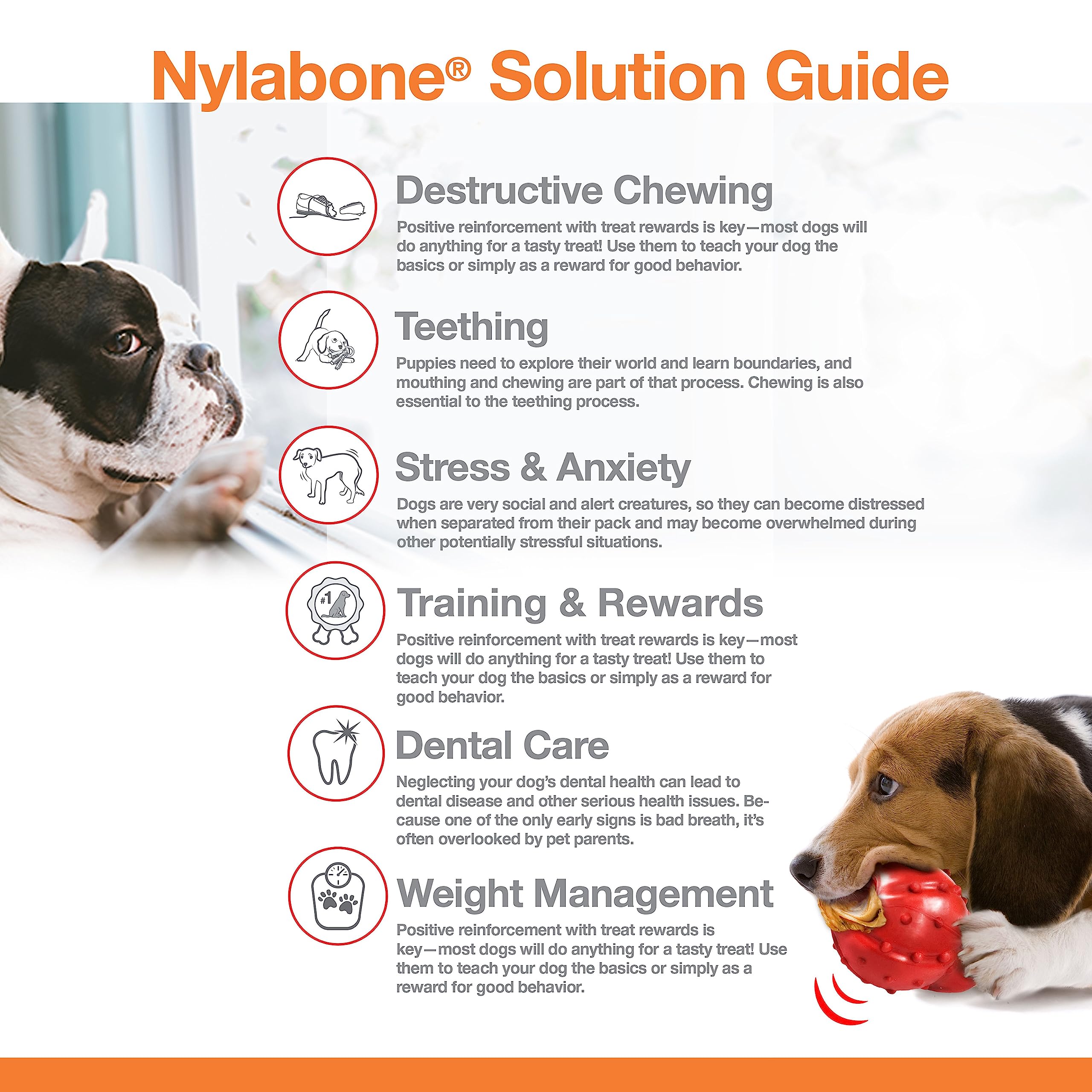 Nylabone Original Bone Power, hecho en EE. UU. con control de calidad.