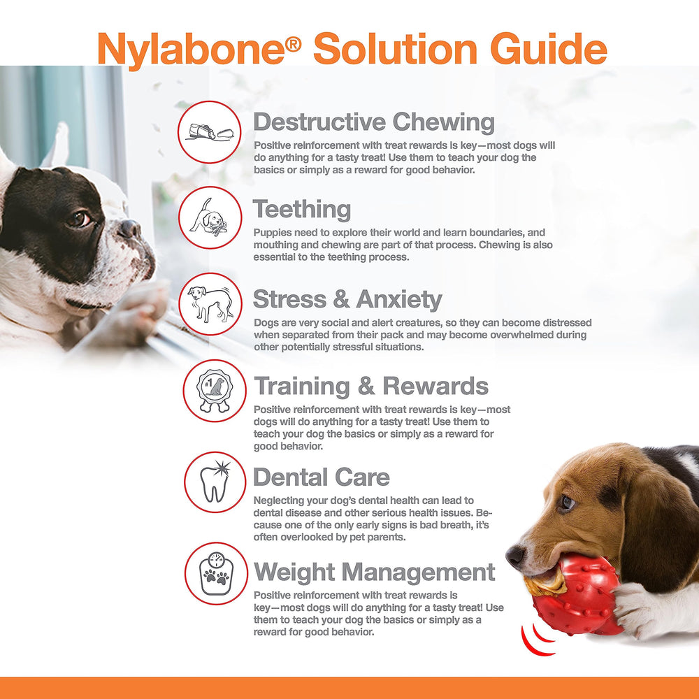Nylabone Original Bone Power, hecho en EE. UU. con control de calidad.