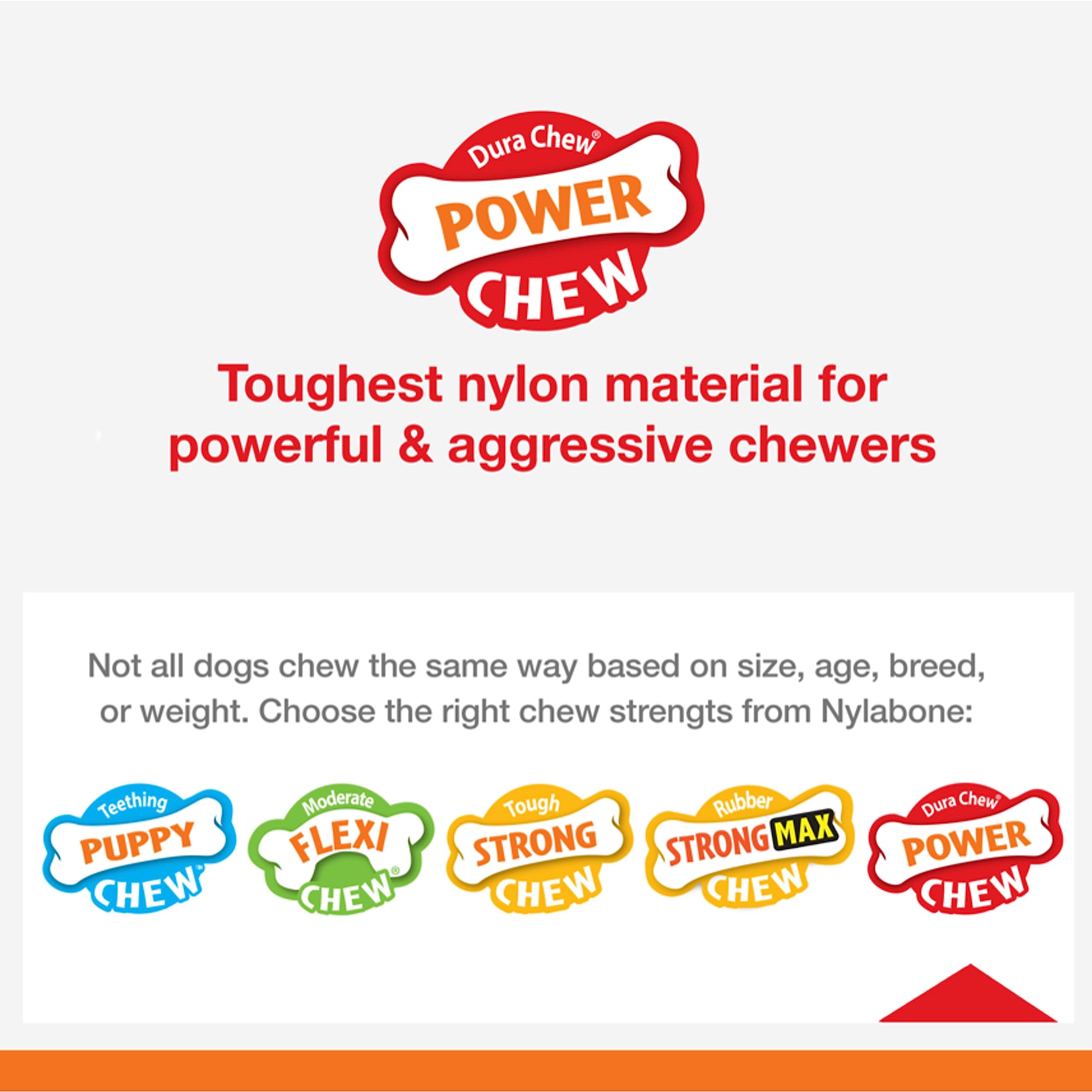 Nylabone Original Bone Power con sabor Funnel Cake paraJuego sabroso.