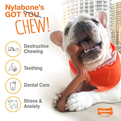 Nylabone Original Bone Power con sabor Shish Kabob para juego prolongado.