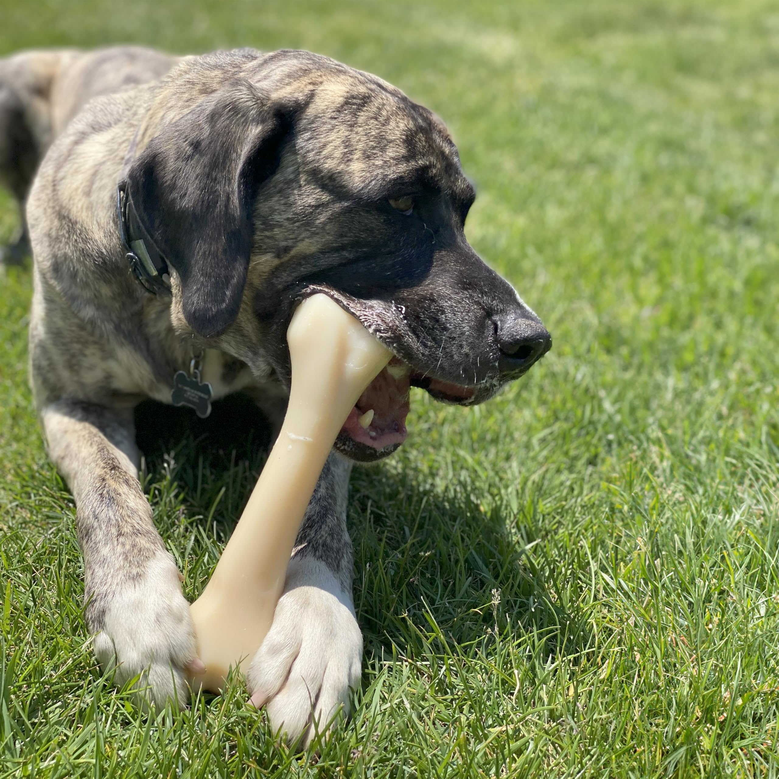 Nylabone para perros agresivos, juguete extremadamente resistente.