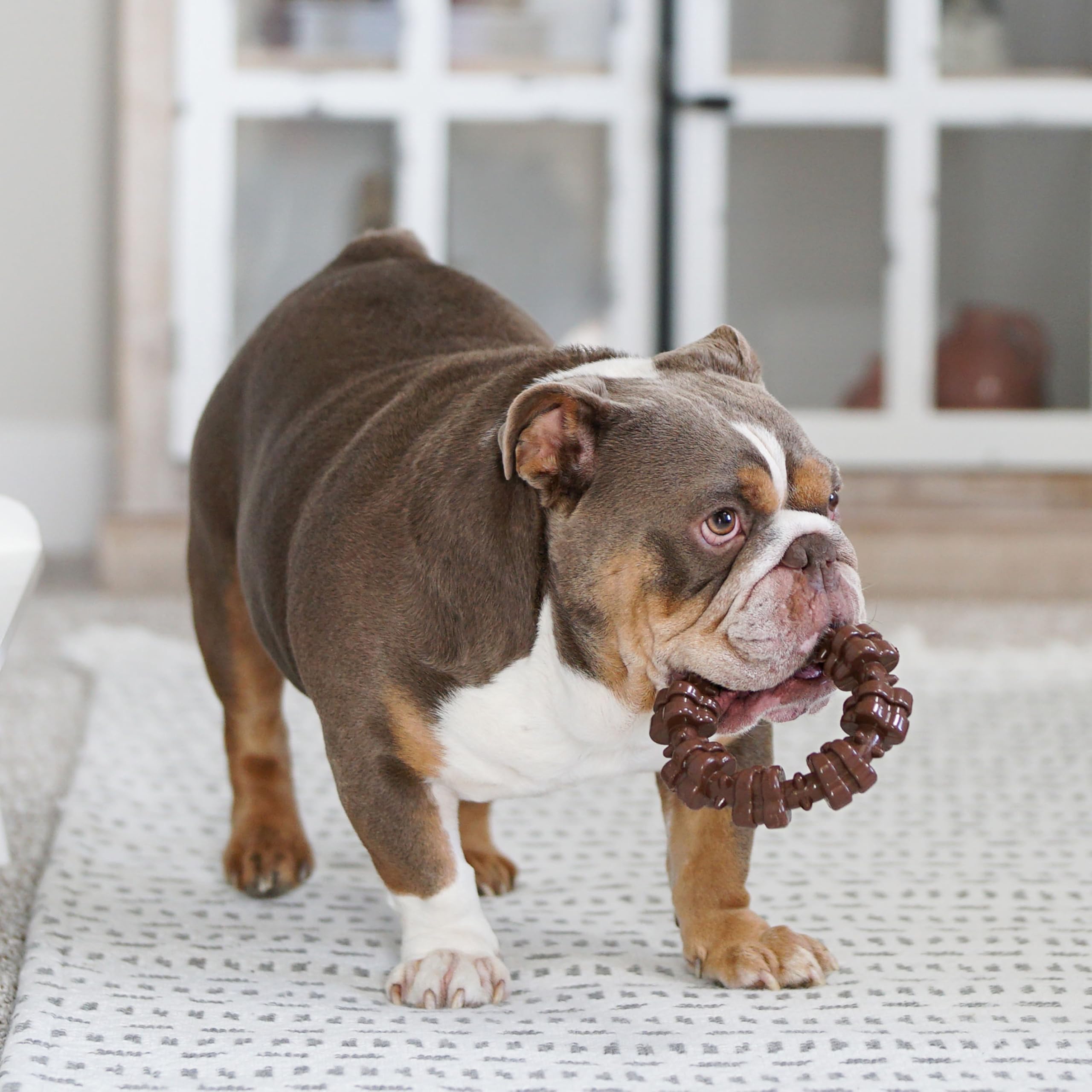Nylabone Power Chew bison flavor closeup for savory chewing