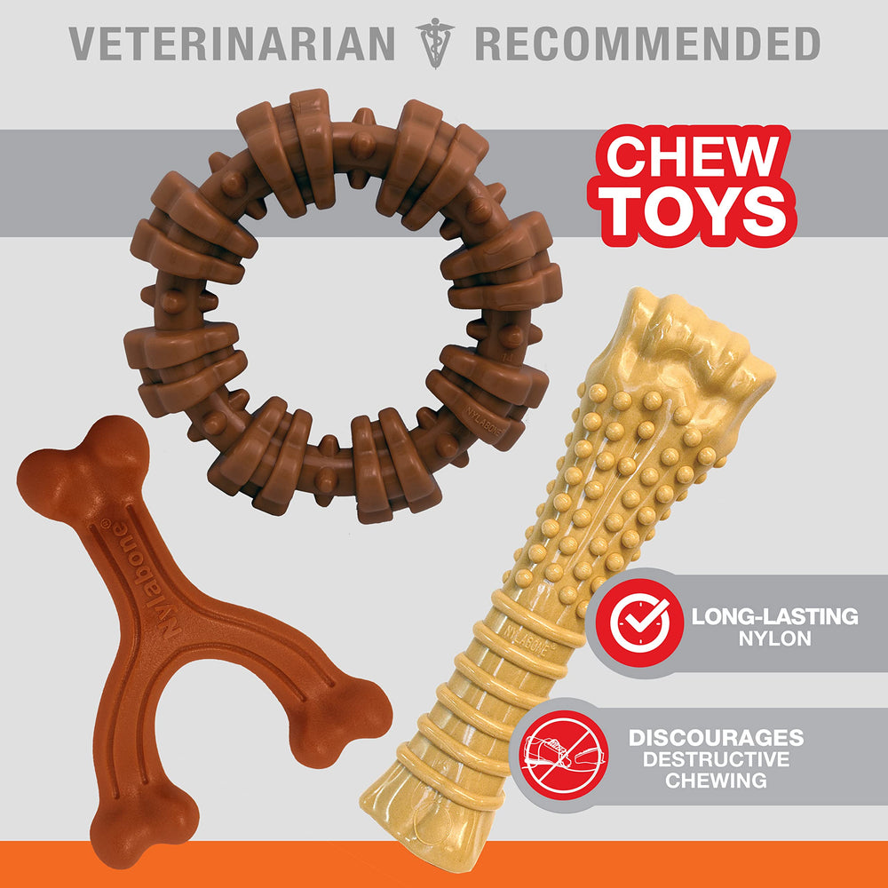 Nylabone Power Chew bone flavor detail with allergen-free peanut butter